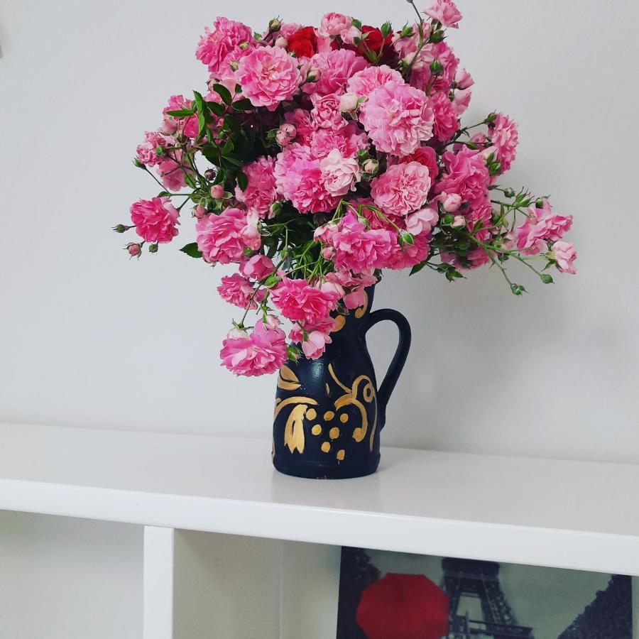City Center Apartment Niko 04 تيرانا المظهر الخارجي الصورة